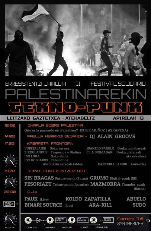 Palestinarekin erresistentzi jaialdia Tekno Punk